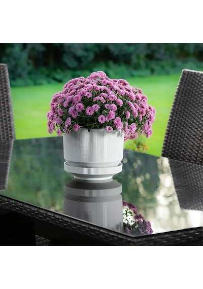 Serinova Lüks Çizgili Desenli Saksı 6 Lt 02653934