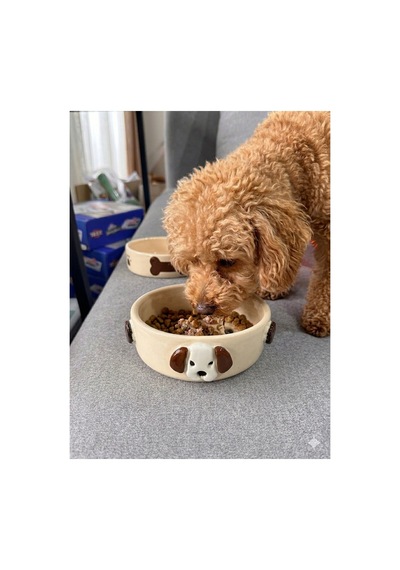 2'li Köpek Mama Su Kabı Seti Seramik El Yapımı