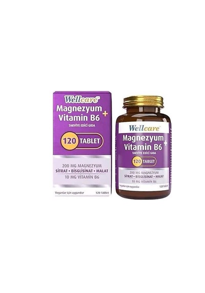 Wellcare Magnezyum B6 Vt 200/10mg 120 Tb