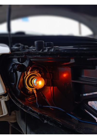 Sentinel T10 Diadem Ampül