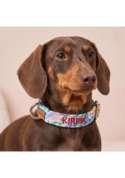 İsimli Tasma İsimli Köpek Tasması Kişiye Özel Köpek Boyun Tasması I Küçük, Orta Ve Büyük Irk Köpekler I De Genel