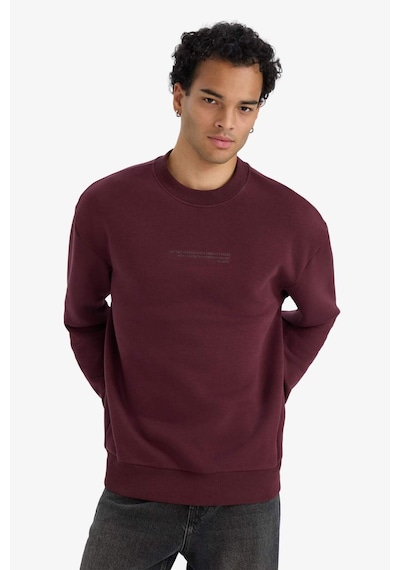 Defacto Boxy Fit Bisiklet Yaka İçi Yumuşak Tüylü Baskılı Sweatshirt X8282az25aubr230 Bordo-br230 Defacto Boxy Fit Bisiklet Yaka İçi Yumuşak Tüylü Baskılı Sweatshirt X8282az25aubr230 Bordo-br230