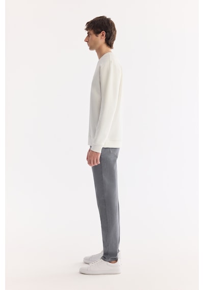 Avva Erkek Ekru Bisiklet Yaka Pamuklu Kolay Ütülenen Bi-stretch Regular Fit Sweatshirt A61y1205