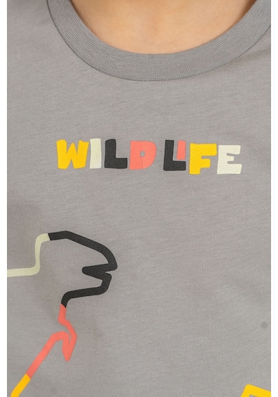Rolypoly Erkek Çocuk Wildlife Gri Uzun Kol Pijama Takım Rp3866-c-v2 Rp3866-c-v2