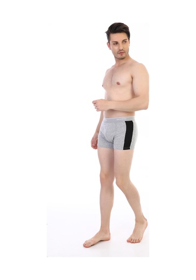 Çift Kaplan Erkek Elastanlı Biyeli Gri Boxer 850