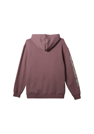 Quiksilver Omni Logo Hoodie Erkek Sweatshirt Mor