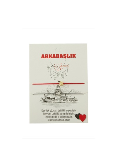 Bay Yıldız Arkadaşlık İp Bileklik 2 Adet Najmaddin Standart 93634716