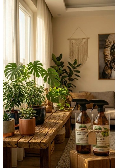 İkili Bakım Seti Evergreen Pro Sprey Daha Yeşil Bitki Besini Ve Bioleaf Protector Sprey Neem Yağı 1 L