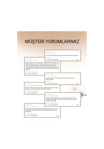 Alya Underwear  Kadın Pamuklu Hipster - Slip Külot 5 Farklı Renk 1 Pakette Ten