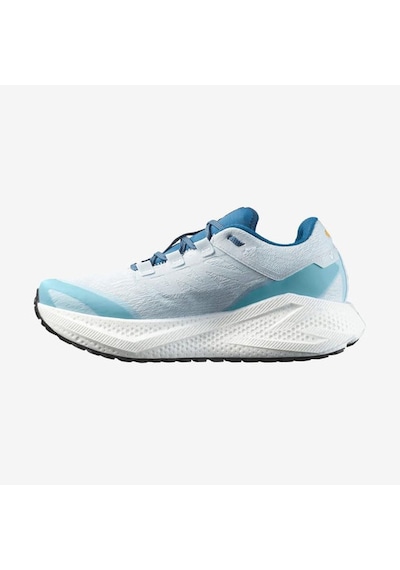Salomon Aero Glıde 3 Grvl Erkek Koşu Ayakkabısı L47811800 Çok Renkli