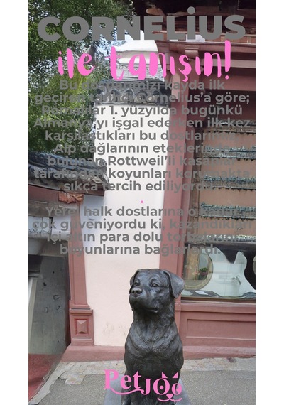 Petjoo 20.Cornelius Pembe-Gri Qr'lı Köpek Künyesi
