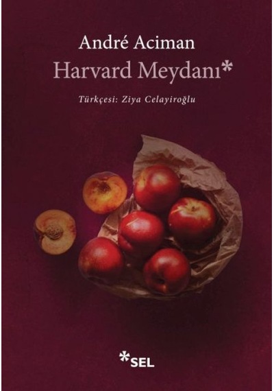 Harvard Meydanı - Ezjı-762179