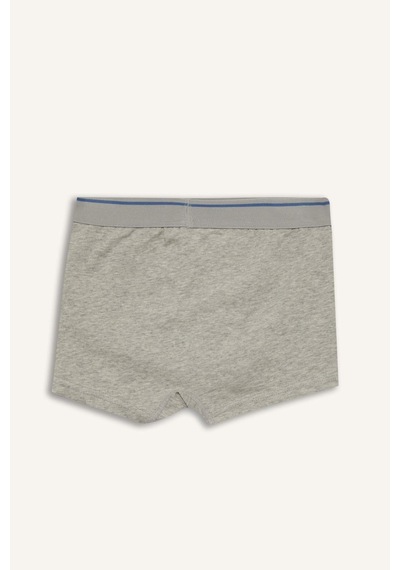 Defacto Penye 5li Boxer Erkek Çocuk H1638a826smın103 İndigo-ın103