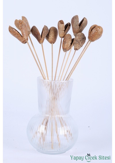 Yapay Çiçek Sitesi Kuru Çiçek Bell Cup Meyve 30 Cm 10lu Naturel