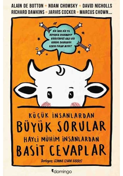 Küçük İnsanlardan Büyük Sorular Hay- Domingo Yayınevi