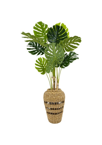 Biçiçek Yapay Monstera Ağacı Deve Tabani 180 Cm İskandi̇nav Saksıda