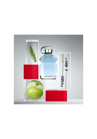 Ferah Ve Canlandırıcı Parfüm - 200 Ml