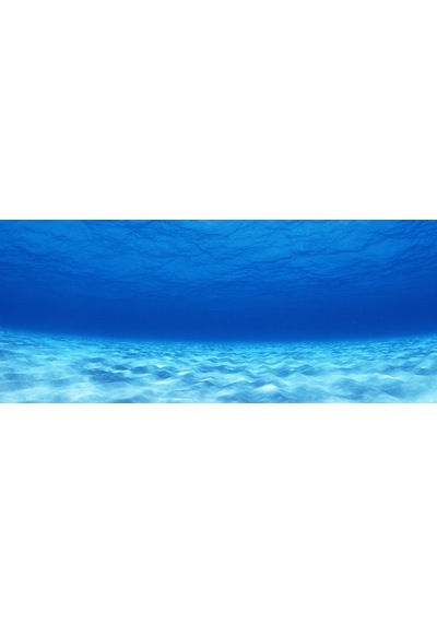 Kanki Pet 155 cm KP1556503 Akvaryum Arka Fon Yapıştırma 155x65 cm