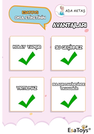 Elsa Temalı Özel İsminiz Yazılı Okul Etiketi Diğer