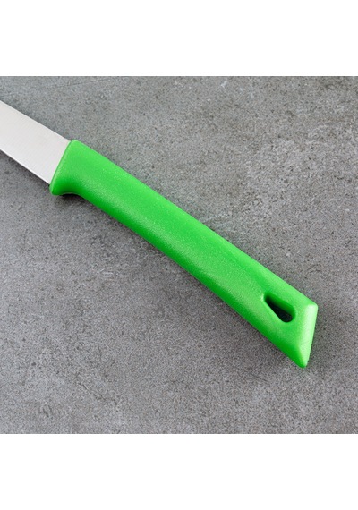 Aryıldız Düz Ağız Meyve Bıçak Yeşil 8 Cm