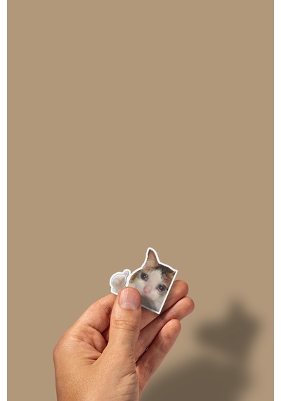 Komik Kedi Diğer