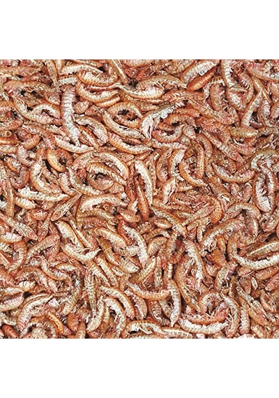 10323 Gammarus 100 Ml. 12 Gr.
