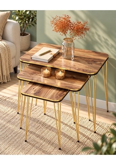 Odera Ceviz Detaylı Zigon Sehpa 3'lü Set Metal Ayaklı Modern Retro Salon Sehpası Diğer