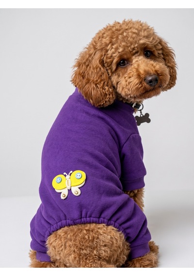 Butterfly Violet Köpek Tulumu Mor Renk 3d Yumuşak Kelebek Aksesuarlı Penye Köpek Kıyafeti