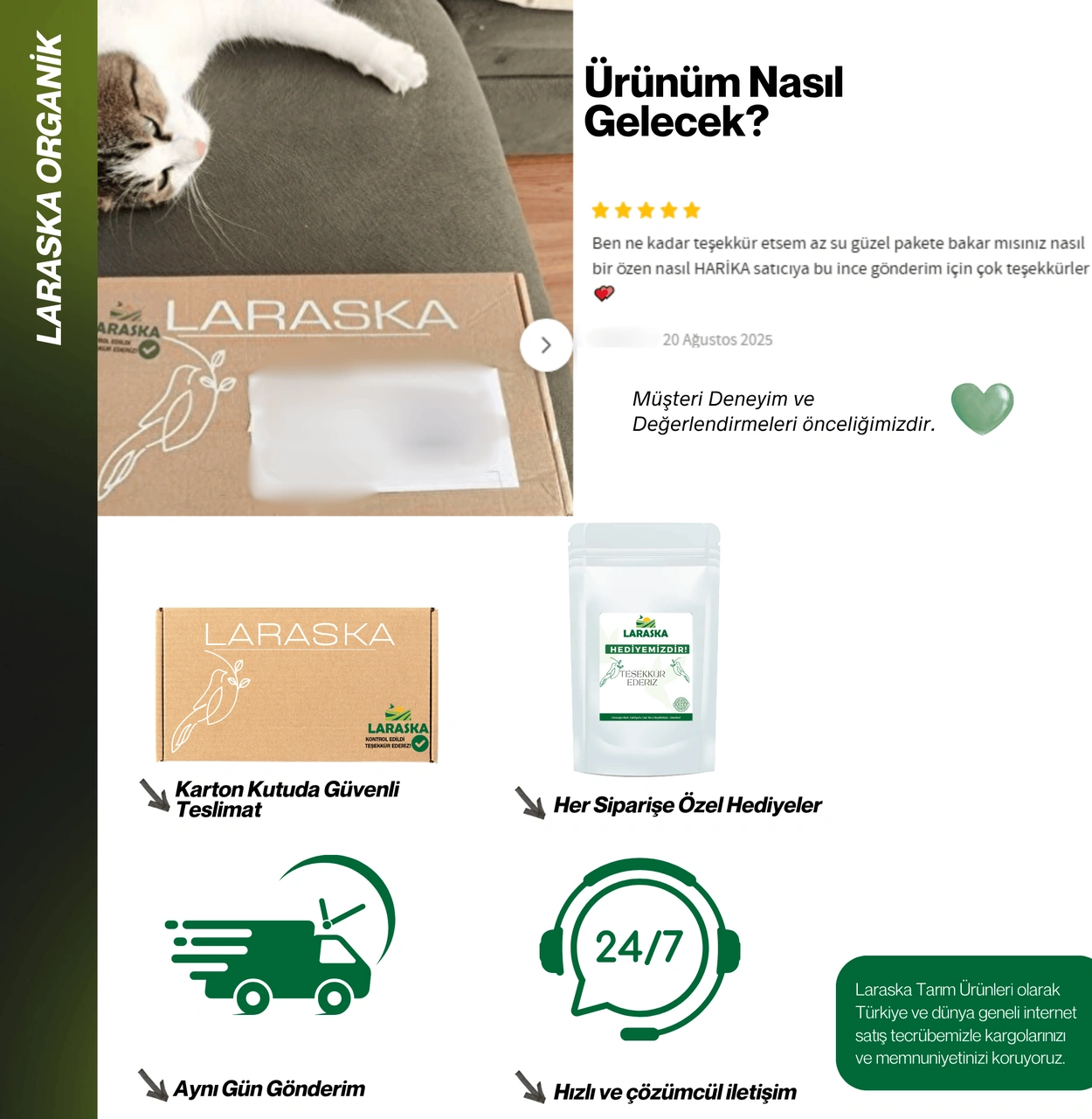 Glutensiz Hindistan Cevizi Unu 250g - Coconut Flour