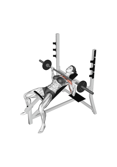 Max Life Olimpik Eğimli Incline Bench Press Sehpası