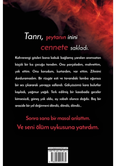 Pegasusyayinlari Yabancı veyl