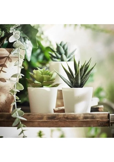 Sumuhome Fejka Saksılı Yapay Bitki Kaktüs 6 Cm 3 Adet
