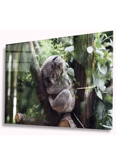 Koala Cam Tablo 4mm Dayanıklı Temperli Cam