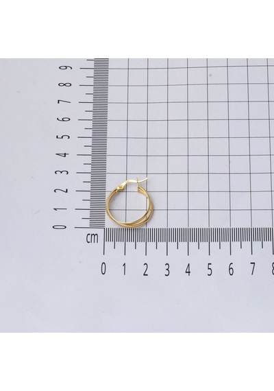 Bilezikci 14 Ayar 2,5 Cm. Çaplı İkili Halka Küpe Altın Kphas14k30240