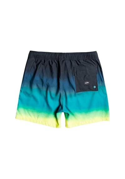 Billabong All Day Fade Lb Erkek Şort-19 Çok Renkli