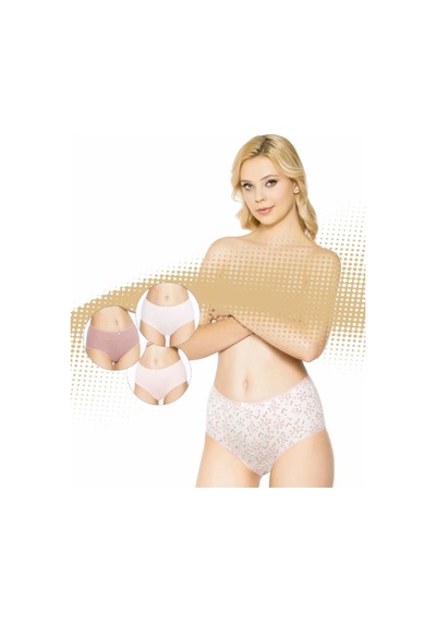 Belinay 3509 Kadın Yüksek Bel Bato Külot 4lü Paket 001