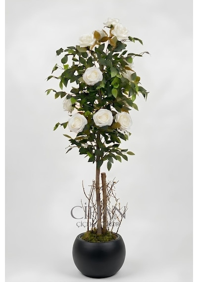 Yapay 10 Güllü Beyaz Gül Ağacı 150 Cm 27x33 Siyah Küre Saksılı