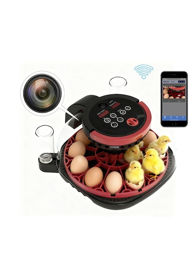 Akıllı Kameralı Kuluçka Makinesi - 12'li