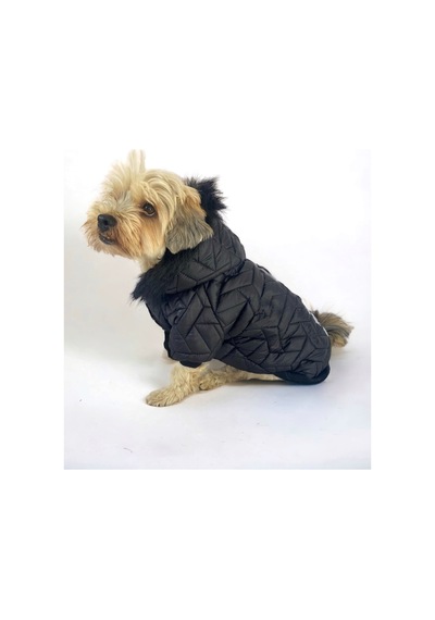 Kemique Luxy Black Köpek Montu Ceketi Köpek Dış Giyim