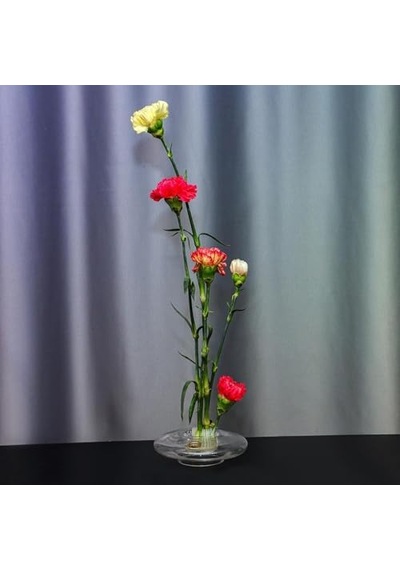 Flora Design-balance Series Şeffaf Cam Vazo
