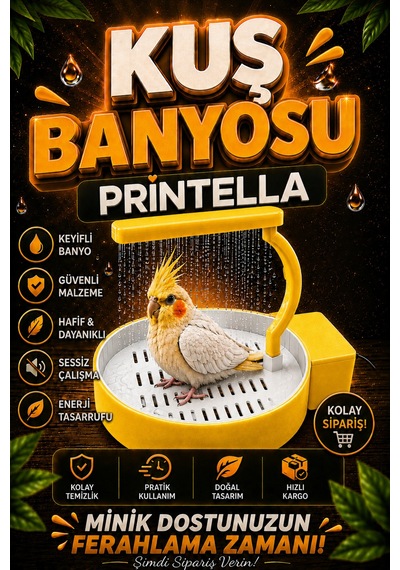 Dekoratif & Eğlenceli Kuş Havuzu