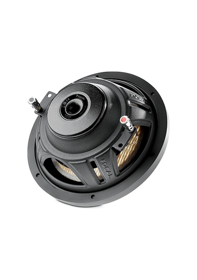 ÖZENHİFİ' den Focal Flax Evo P 20 FSE