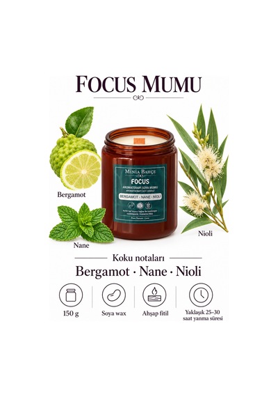 Aromaterapi Soya Mum - Focus Odaklanma 150 Gr %100 Doğal Ve Saf Şeffaf