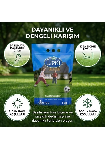 Lippa Pro Shadow 5s Gölge Alan Çim Tohumu, Ağaç Altı Ve Yarı Gölge İçin 5 Bileşenli Karışım, 1 Kg Diğer