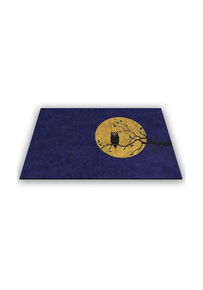 Tasarımlı Dekoratif Kapı Önü Paspas, Dış Mekan/ev İçi/banyo/mutfak/yatak Odası/giriş Paspasları Baykuş Mavi, 40x60 Diğer