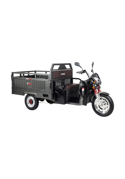 Stmax Gf5000 3 Tekerli Kasalı Elektrikli Moped - Gri