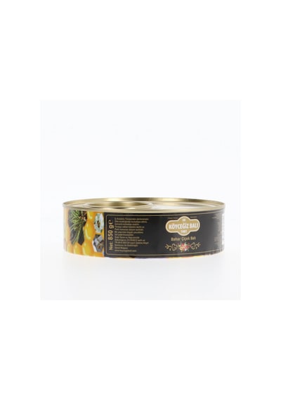 Köyceğiz Balı Bahar Çiçek Balı Teneke 850 G