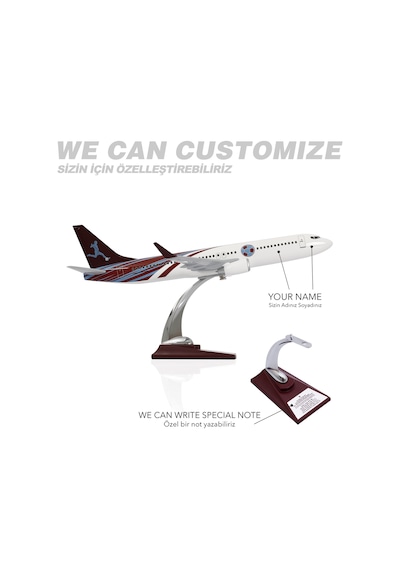 Zekupp - Maket Uçak Boeing 737-800 1/100 - Bordo Mavi Taraftar