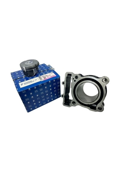 Hner Dominar 250 Silindir Set
