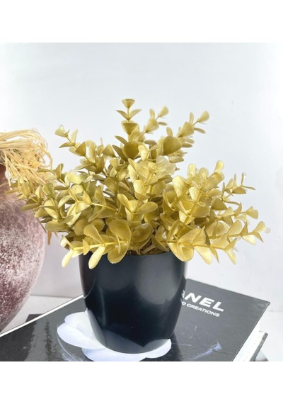 Yapay Çiçek Gold Renk Şimşir Siyah Saksıda Siyah Plastik Saksılı